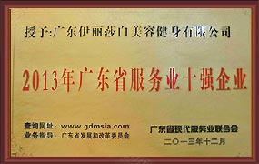 2013年广东省服务业十强企业